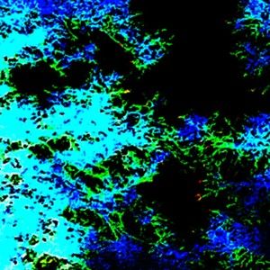 Meet your Posher, Grant